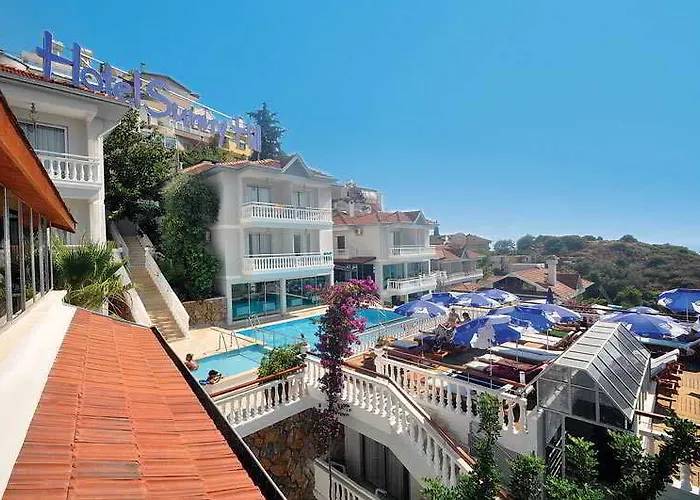 صني هيل عليا فندق 4*