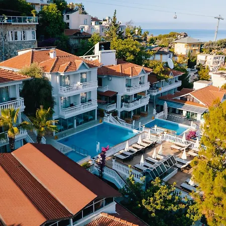 서니 힐 알리아 알란야