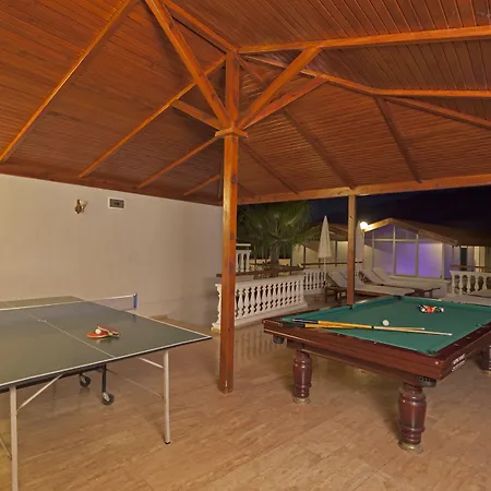 서니 힐 알리아