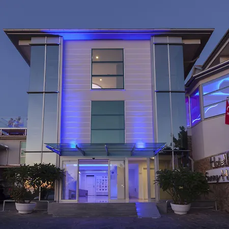 서니 힐 알리아