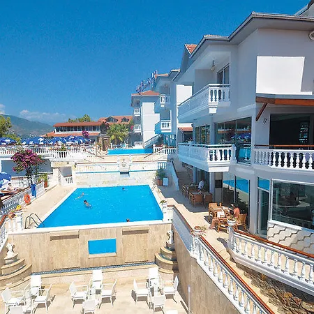 서니 힐 알리아